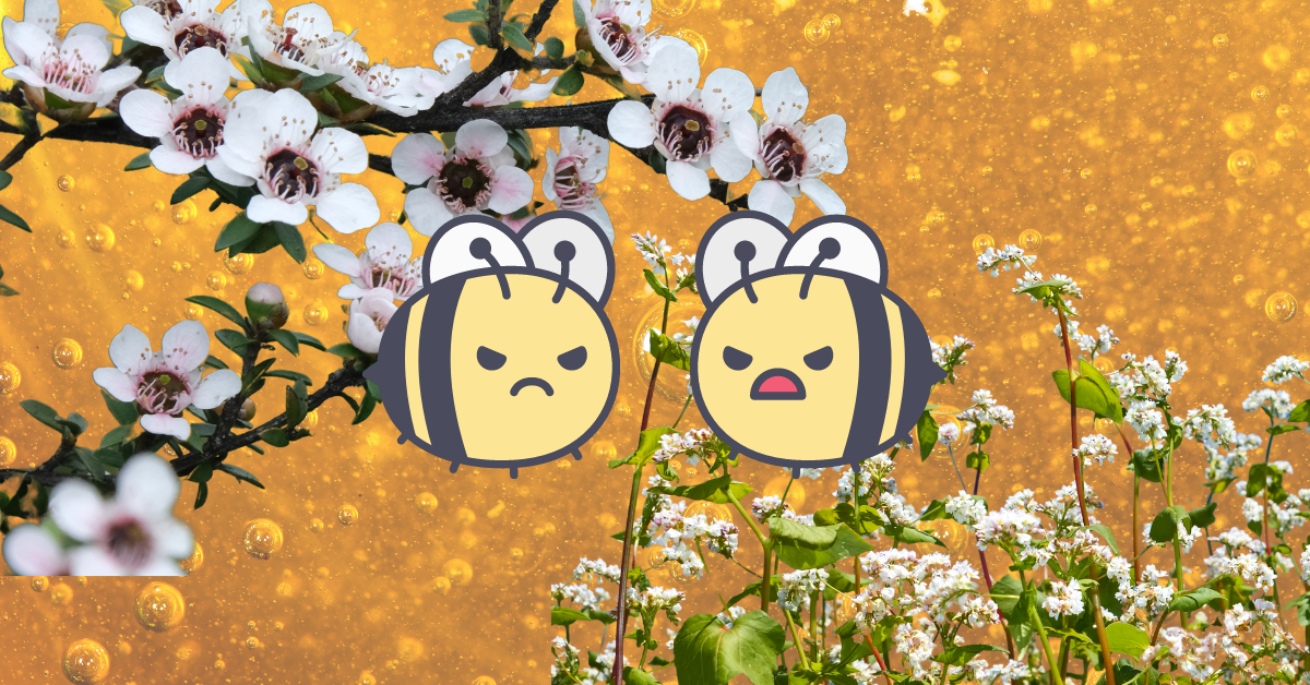 Buckwheat Honey vs Manuka Honey Different and Better